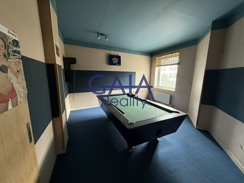 Prodej obchodních prostor 940 m² – fotografie 4