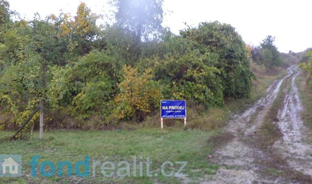 Prodej pozemku 4 541 m², Morkůvky – náhled fotky 5