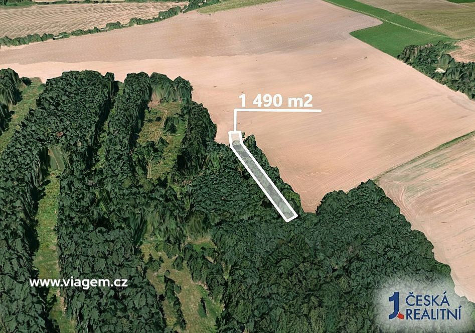 Prodej lesa 1 490 m² - Widok 2