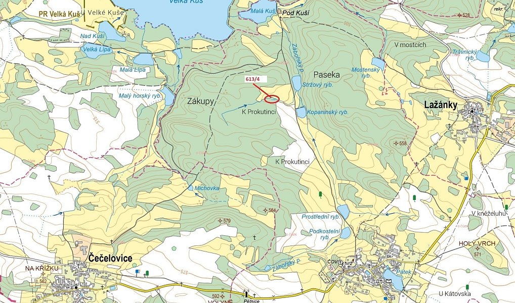 Dražba lesa, 185 m², Strakonice, Záboří