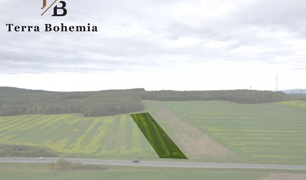 Prodej komerčního pozemku 7 341 m², Chotíkov – náhled fotky 2