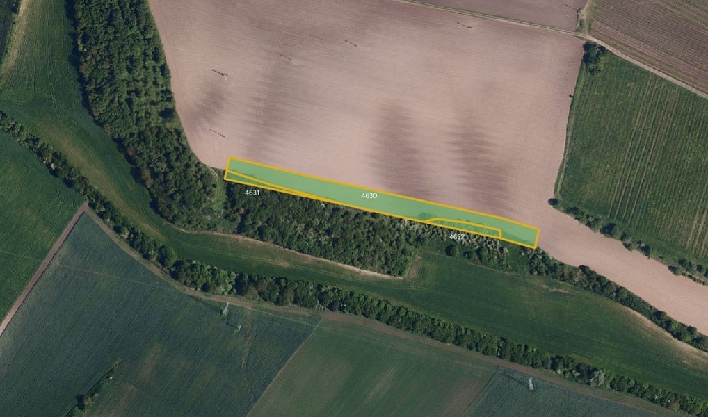 Prodej pole 10 860 m², Klobouky u Brna – náhled fotky 2