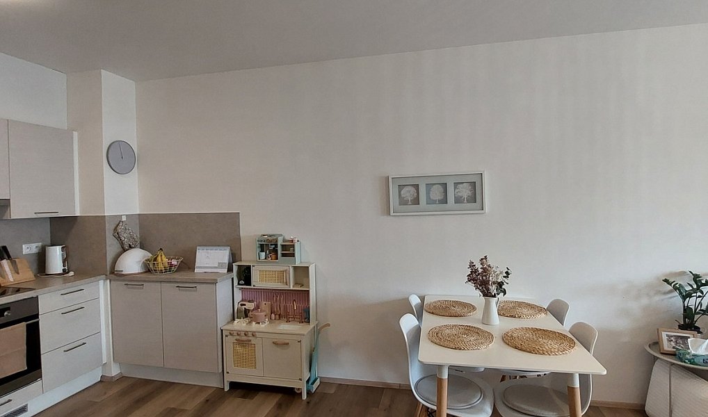 Pronájem bytu 2+kk 68 m², Olomouc – náhled fotky 4