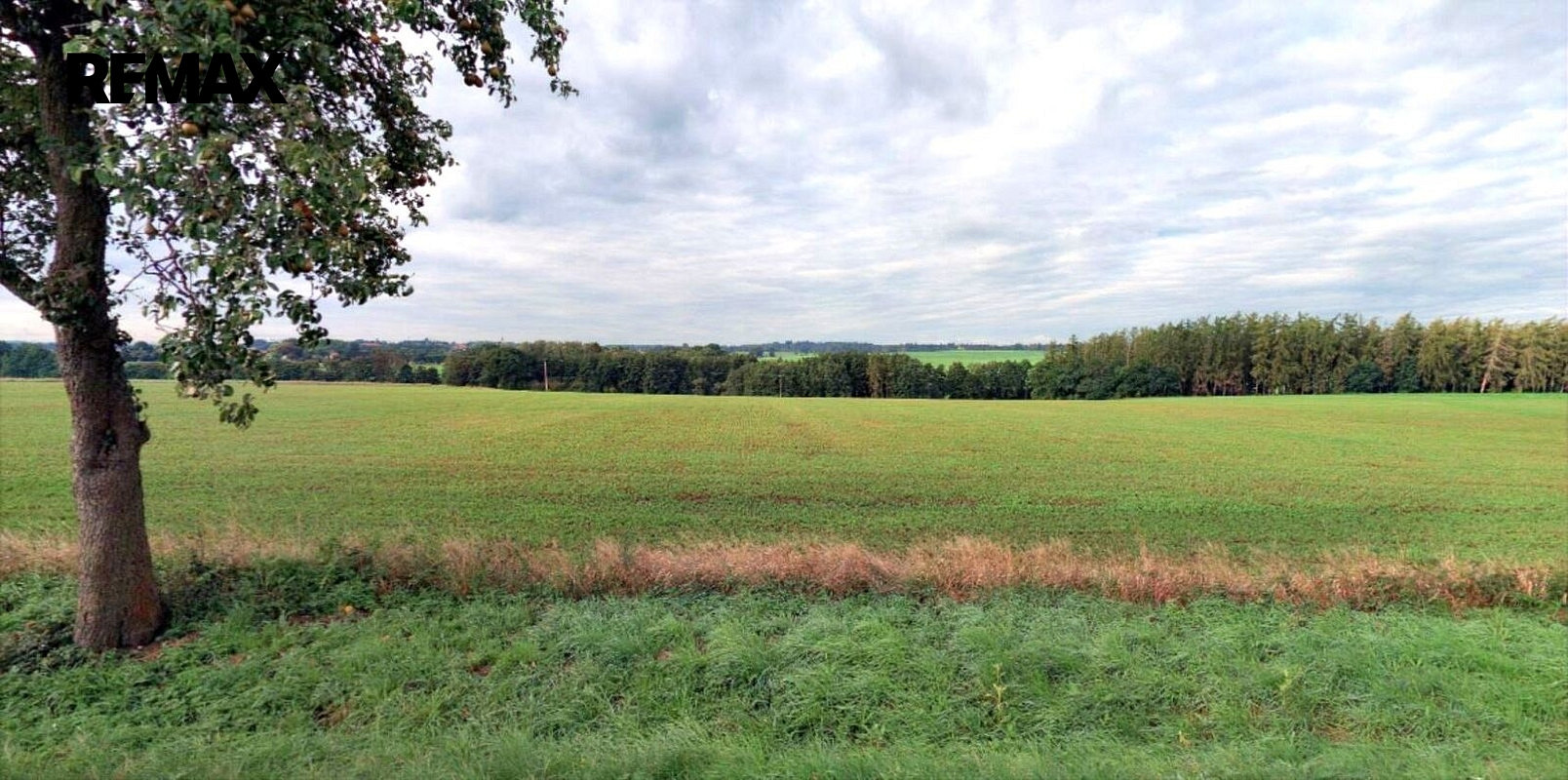 Prodej pole 22 505 m²
