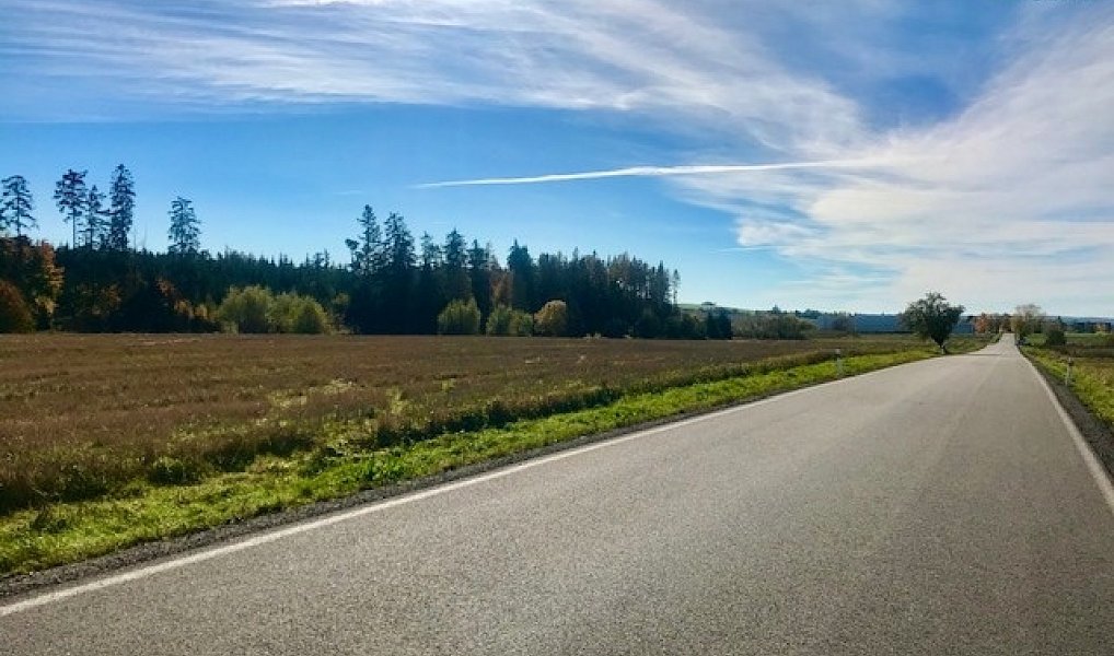 Prodej komerčního pozemku 1 354 m², Želetava – náhled fotky 3