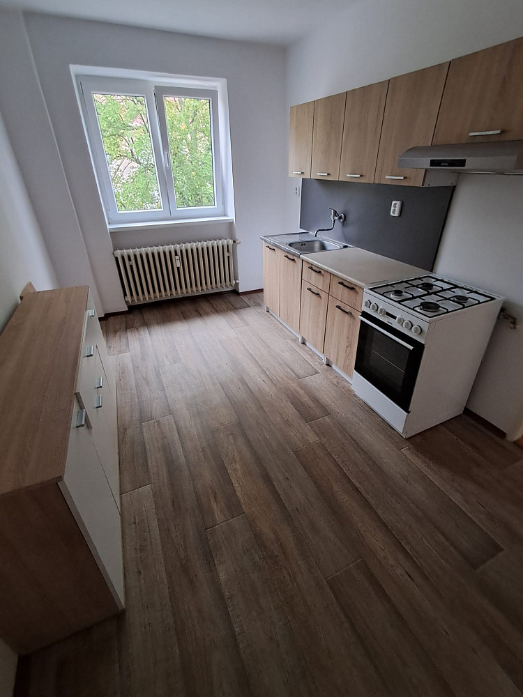 Pronájem bytu 2+1 48 m² – fotografie 3