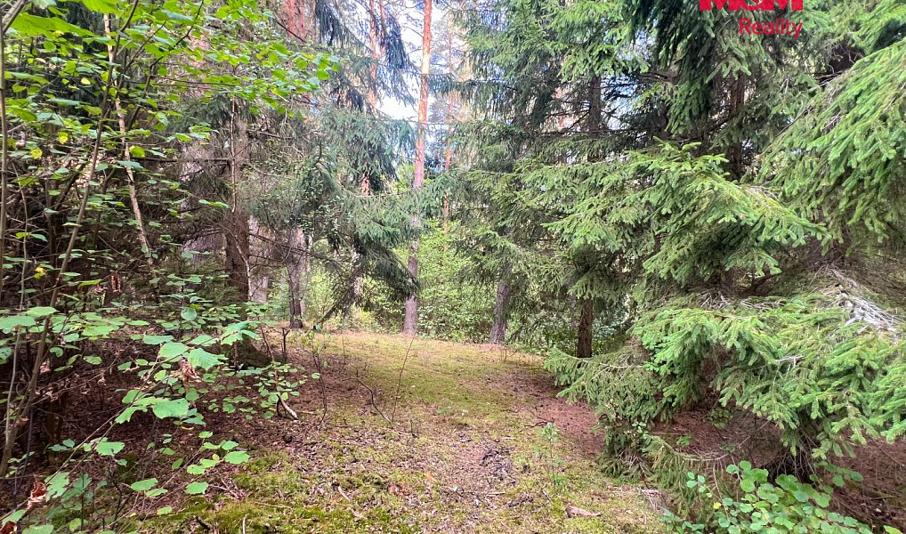 Prodej stavebního pozemku 64 409 m², Záblatí – náhled fotky 20