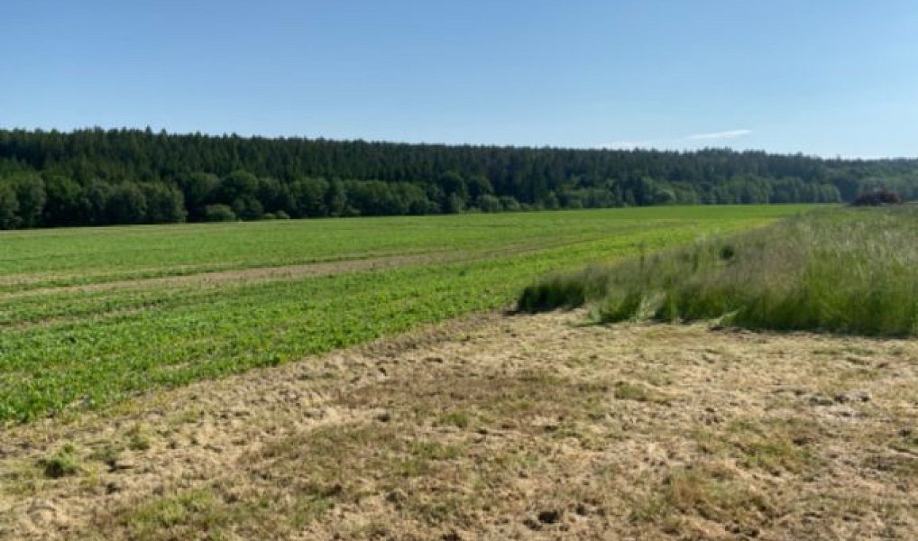 Prodej stavebního pozemku 8 669 m², Zbizuby – náhled fotky 15
