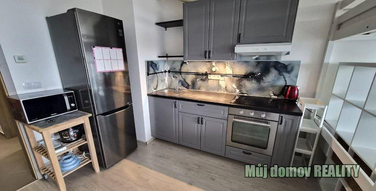 Pronájem bytu 1+kk 38 m²