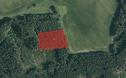 Prodej lesa 7 352 m², Chyše - Žďárek, okres Karlovy Vary