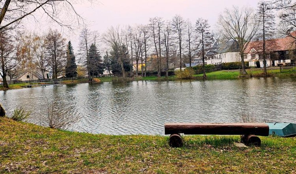 Prodej domu 335 m² s pozemkem 1 686 m², Blatno – náhled fotky 41