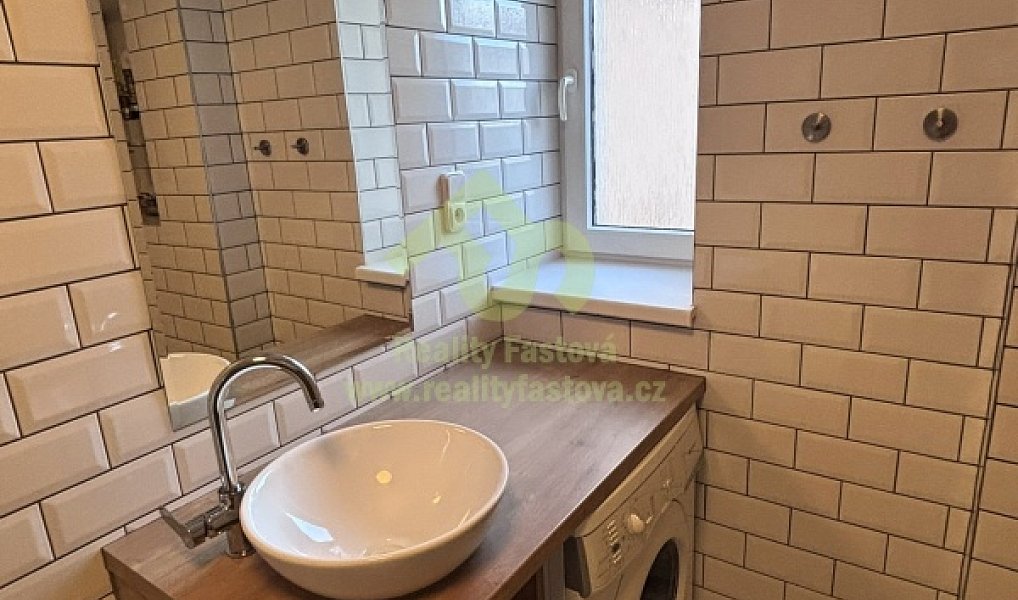 Pronájem bytu 3+kk 56 m², Plzeň – náhled fotky 15