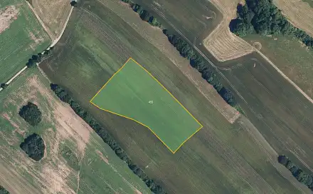 Prodej pole 12 329 m², Zborov, okres Šumperk