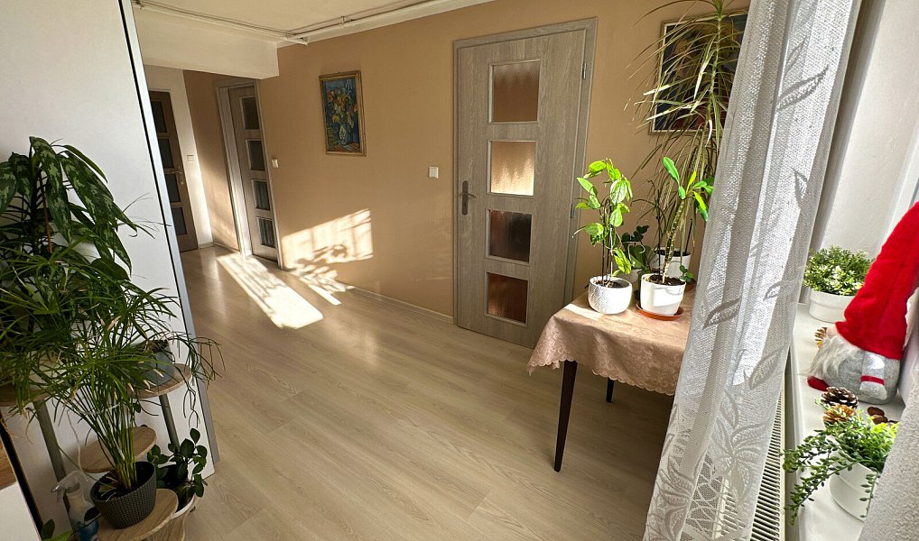 Prodej domu 300 m² s pozemkem 154 m², Tachov – náhled fotky 48