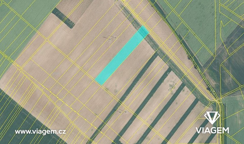 Prodej pole 6 396 m², Čebín – náhled fotky 3