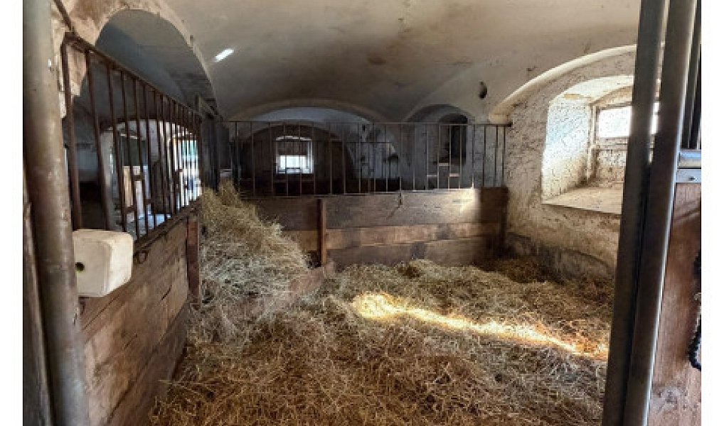 Prodej zemědělského objektu 300 m², Varnsdorf – náhled fotky 21