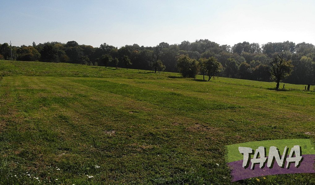 Prodej stavebního pozemku 1 004 m², Vyskeř – náhled fotky 7