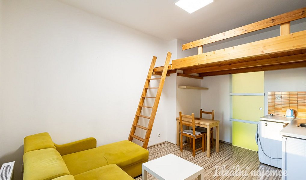 Pronájem bytu 1+kk 20 m², Praha – náhled fotky 3