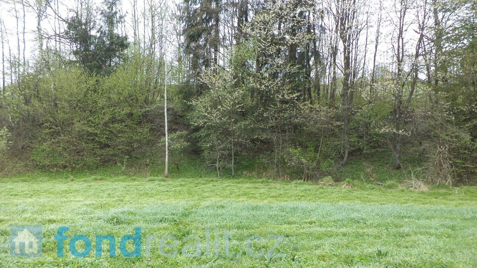 Prodej pozemku 8 296 m² – fotografie 3