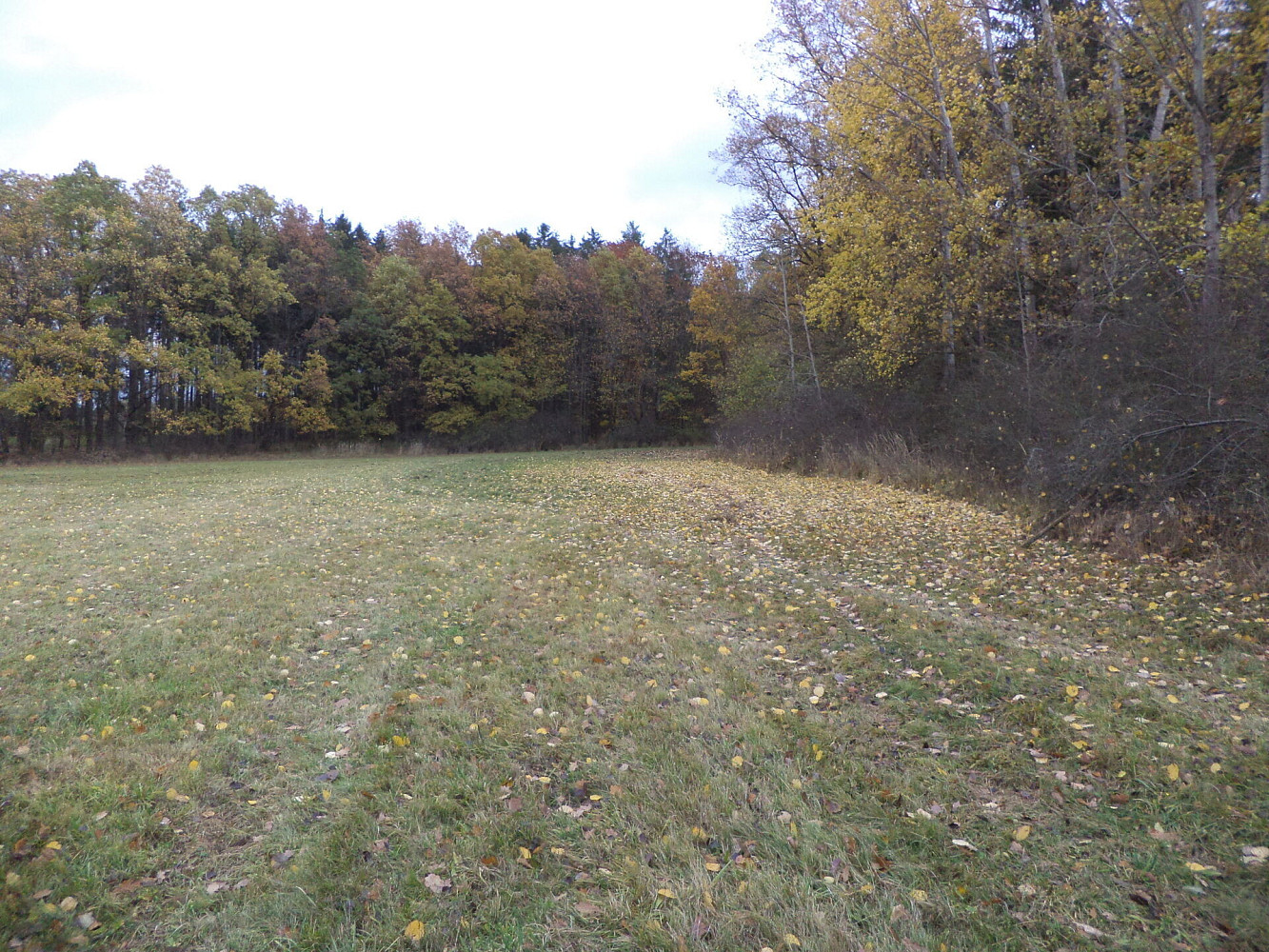 Prodej pole 26 461 m² – fotografie 4