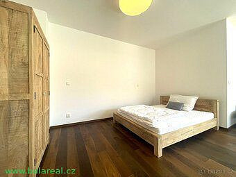 Pronájem bytu 1+kk 55 m² – fotografie 3