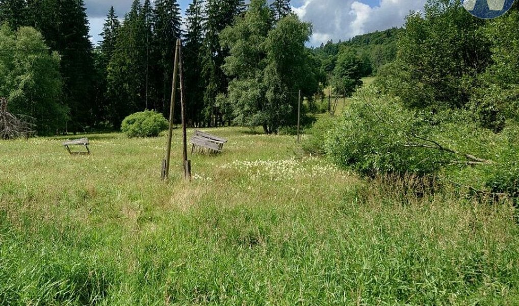 Prodej louky 18 127 m², Stožec – náhled fotky 8