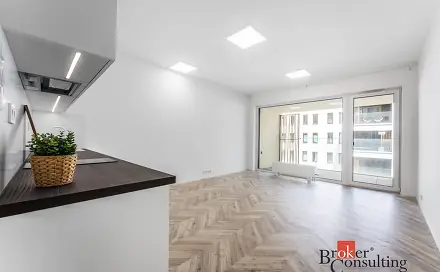 Pronájem bytu 1+kk 48 m², Cejl, Brno - Zábrdovice