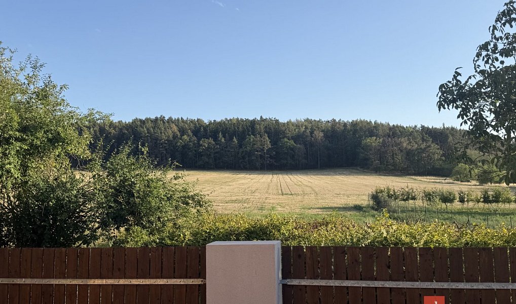 Prodej domu 198 m² s pozemkem 456 m², Losiná – náhled fotky 6