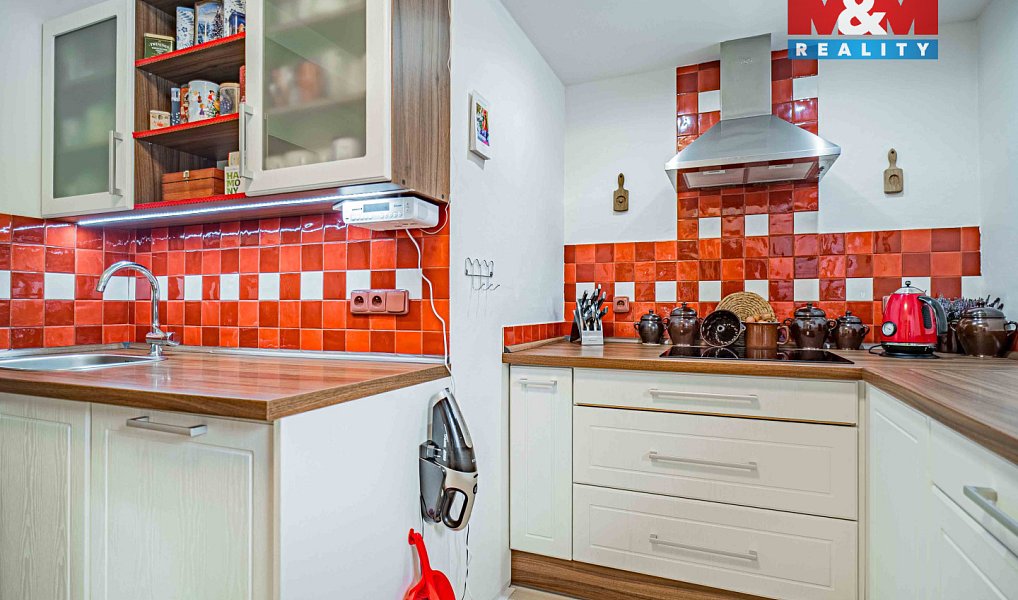 Prodej domu 180 m² s pozemkem 6 250 m², Pražmo – náhled fotky 3