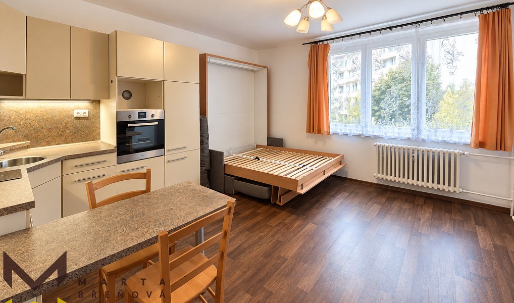 Pronájem bytu 1+kk 33 m², Brno – náhled fotky 3