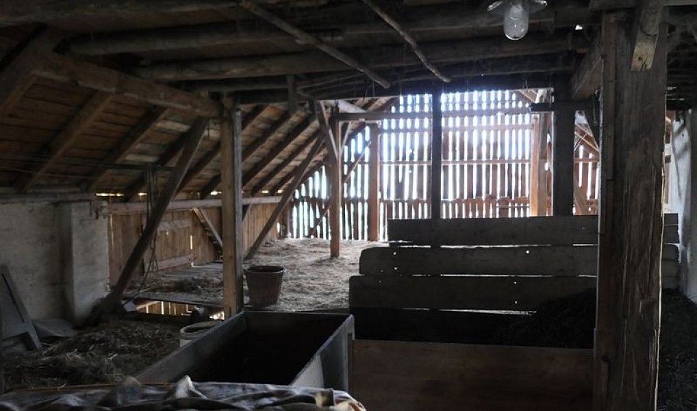 Prodej chaty/chalupy 93 m² s pozemkem 1 782 m², Slatina nad Úpou – náhled fotky 8