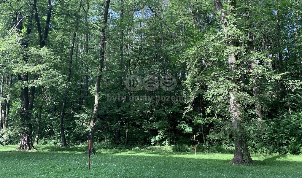 Prodej lesa 9 272 m², Třinec – náhled fotky 2