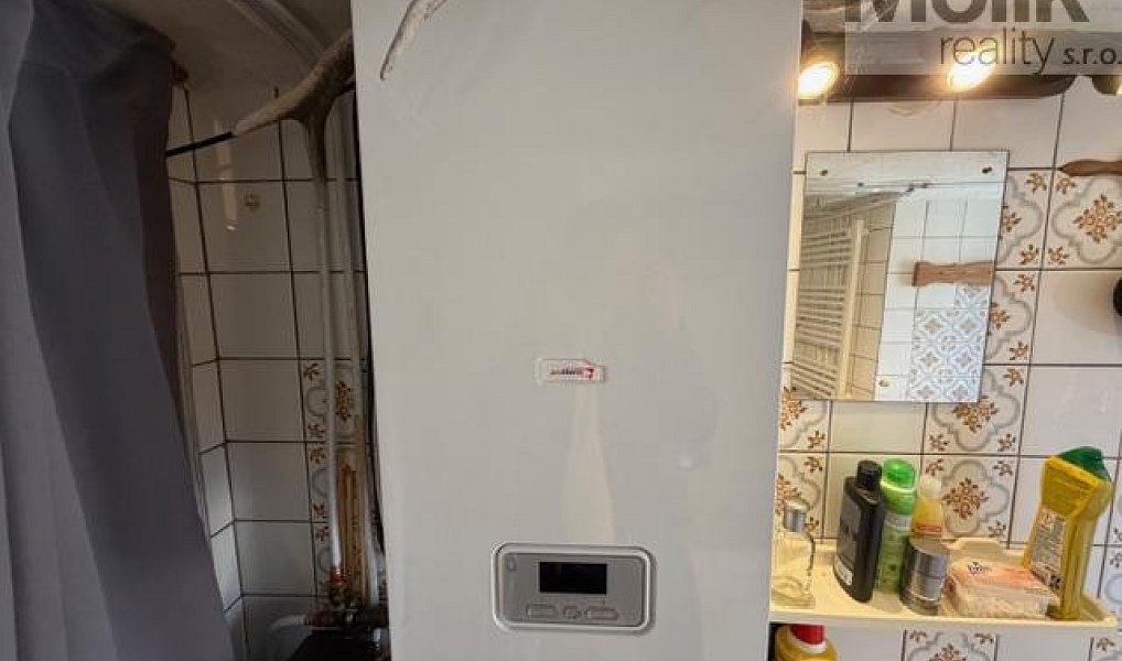 Prodej chaty/chalupy 777 m² s pozemkem 733 m², Dolní Zálezly – náhled fotky 21