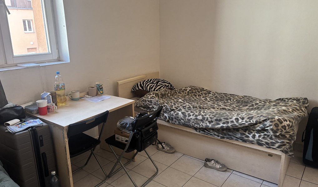 Pronájem ubytovacího objektu 410 m², Brno – náhled fotky 11