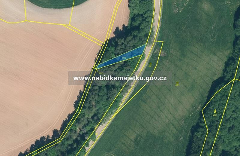 Prodej lesa 333 m²