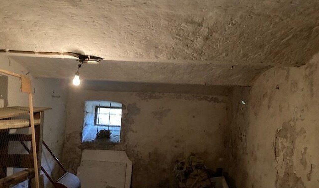 Prodej domu 214 m² s pozemkem 2 422 m², Zlatá Olešnice – náhled fotky 17