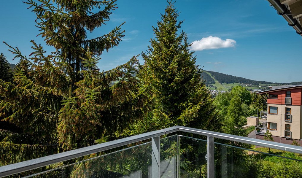 Prodej bytu 2+kk 55 m², Loučná pod Klínovcem – náhled fotky 2