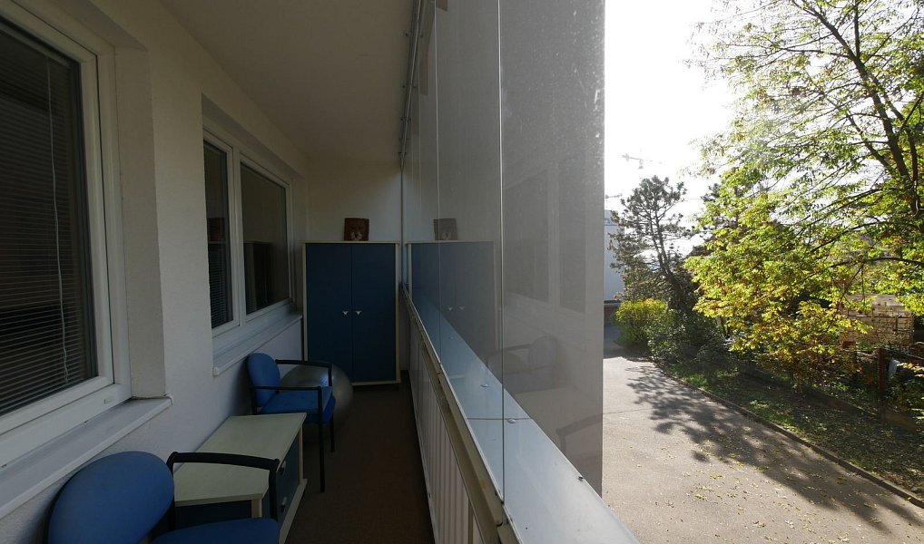 Pronájem bytu 1+1 30 m², Praha – náhled fotky 3