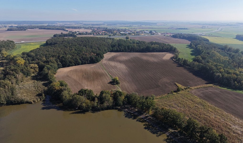 Prodej pole 99 492 m², Rokytno – náhled fotky 6