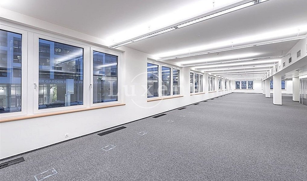 Pronájem kanceláře 460 m², Praha – náhled fotky 4