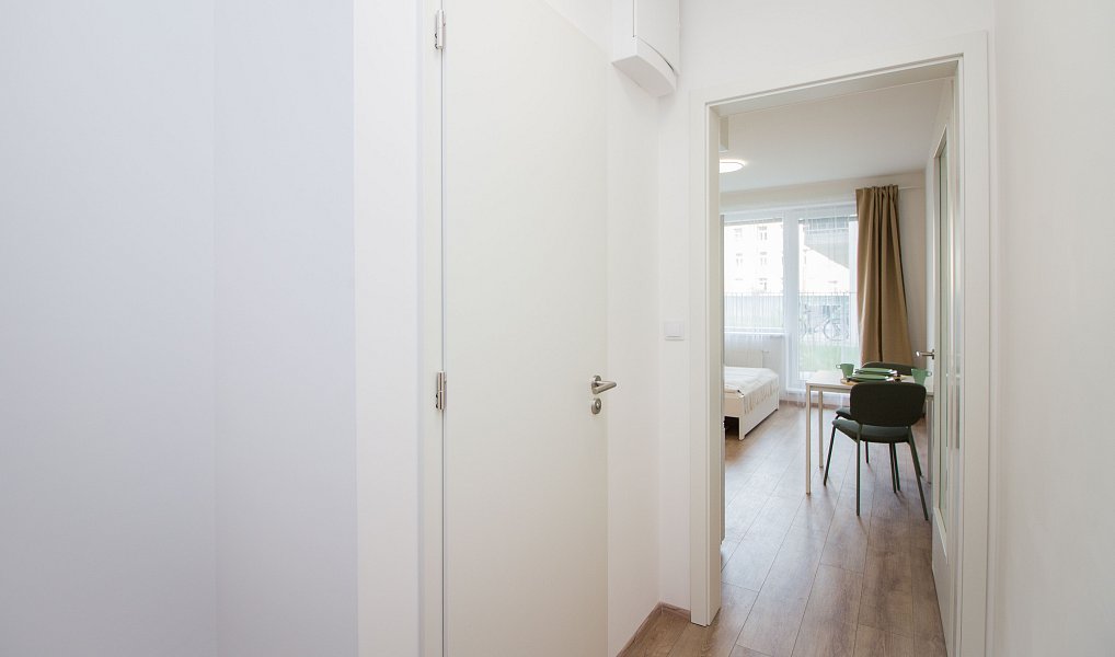 Pronájem bytu 1+kk 29 m², Brno – náhled fotky 9