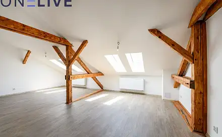 Pronájem bytu 3+1 105 m², Kardinála Berana, Plzeň - Jižní Předměstí