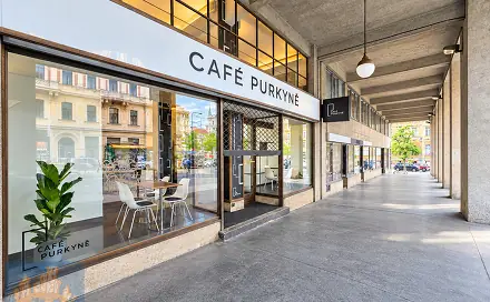Pronájem obchodních prostor 145 m², Sokolská, Praha 2 - Nové Město
