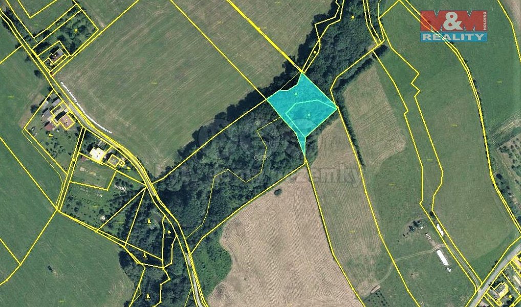 Prodej lesa 2 643 m², Český Těšín – náhled fotky 4