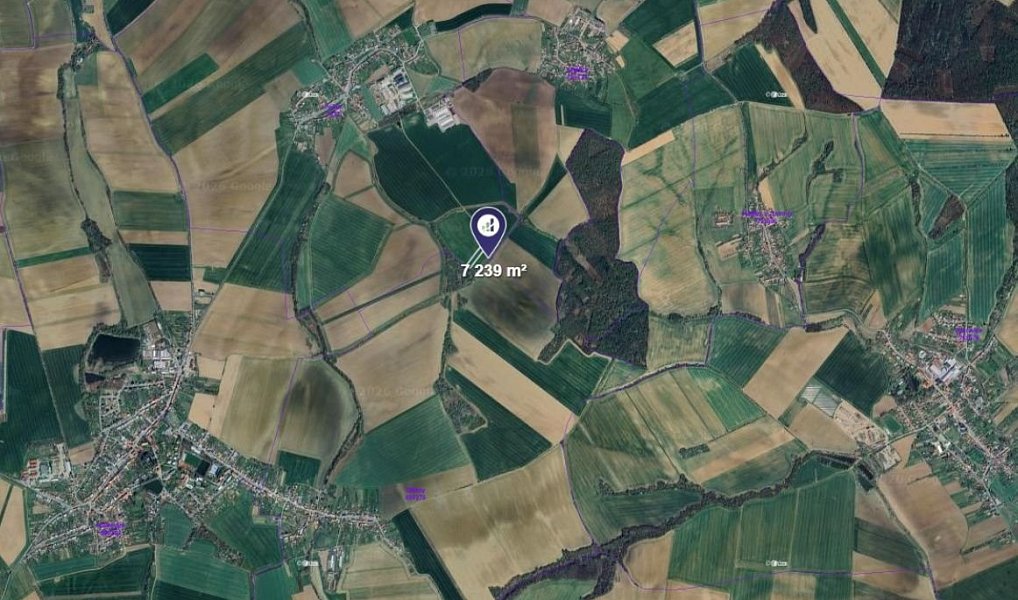 Prodej pole 3 620 m², Počenice-Tetětice – náhled fotky 2