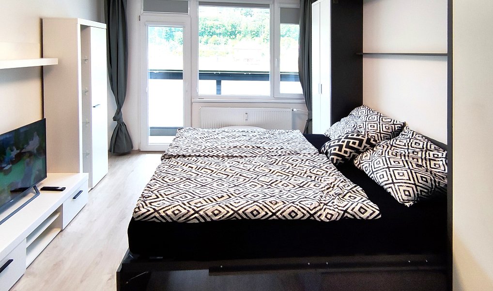 Pronájem bytu 1+kk 30 m², Děčín – náhled fotky 4