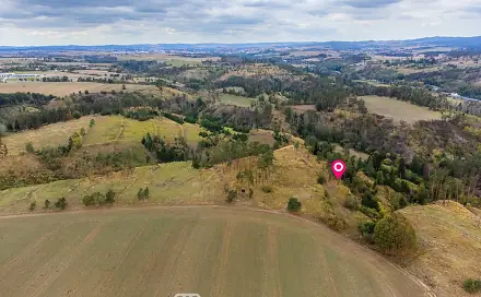 Prodej lesa 3 047 m², Vladislav - Střížov, okres Třebíč
