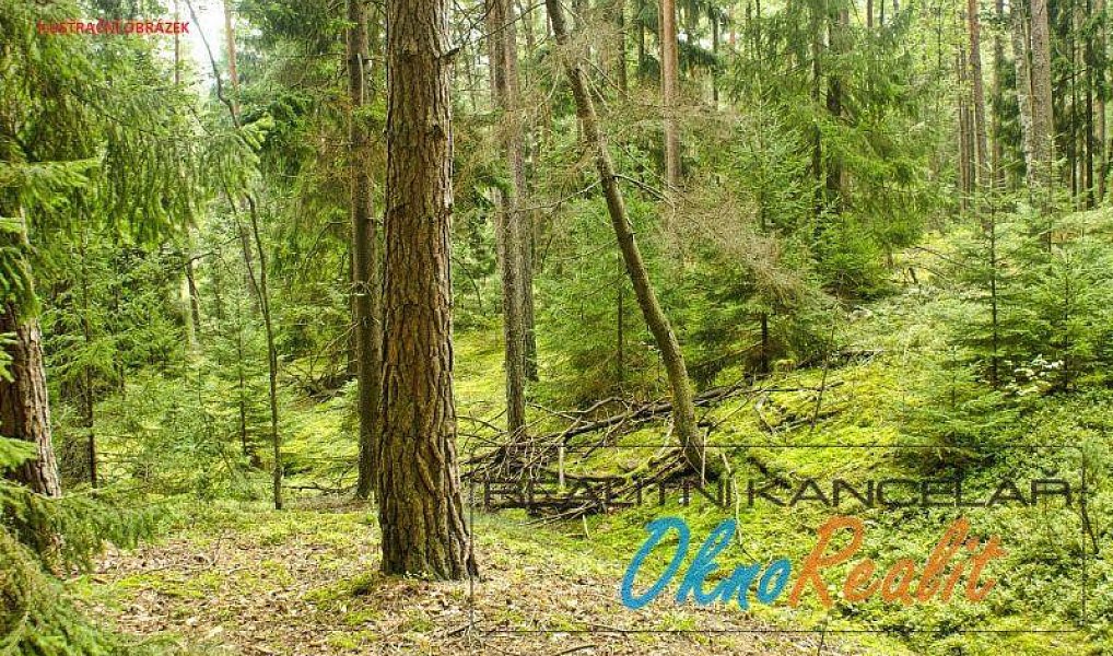 Prodej lesa 8 452 m², Týnec nad Labem – náhled fotky 4