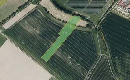 Prodej pole 17 608 m², Úhřetická Lhota, okres Pardubice