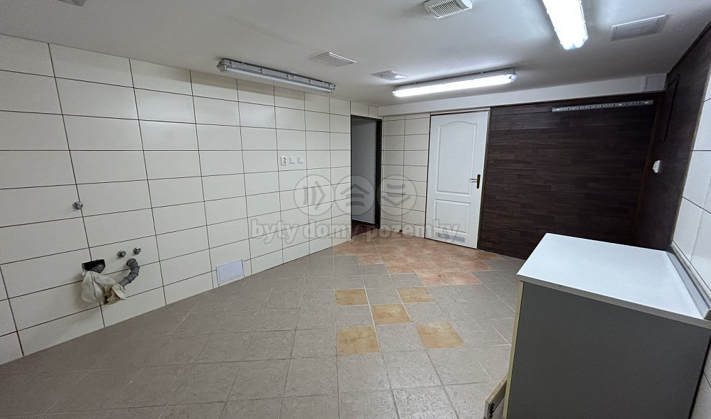 Pronájem obchodních prostor 31 m², Louny – náhled fotky 4